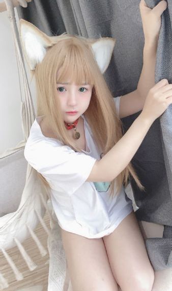 电视剧《惊弦》免费观看